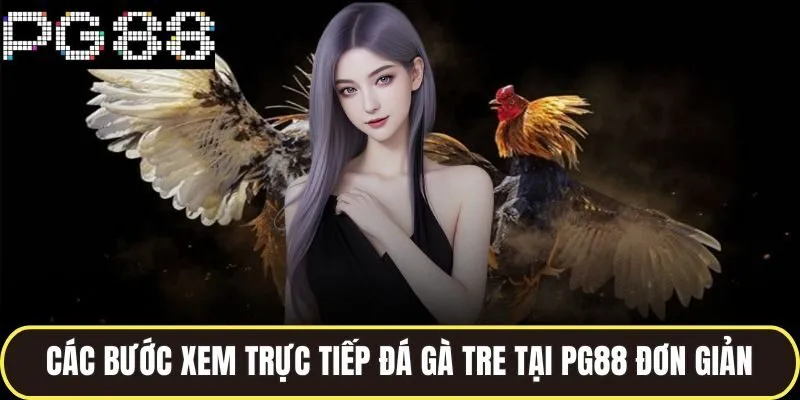 Các bước xem trực tiếp đá gà tre tại pg88 đơn giản