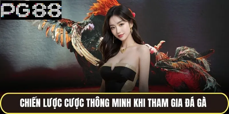 Đá Gà Philippines Kịch Tính Cùng Nhiều Hình Thức Cược Hay 4 Chiến lược cược thông minh khi tham gia đá gà philippines