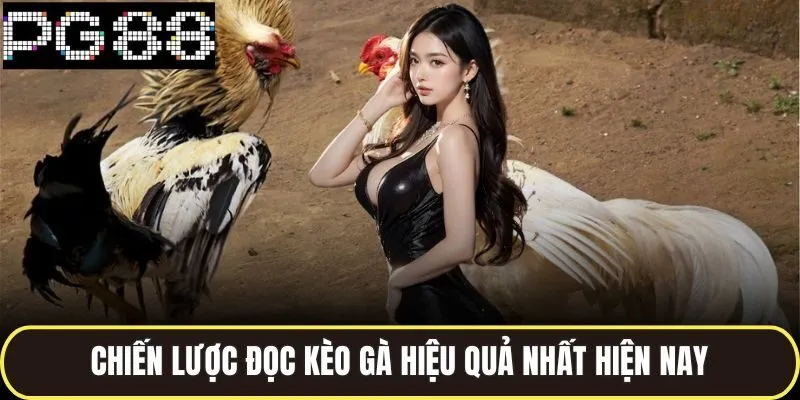 Chiến lược đọc kèo gà hiệu quả nhất hiện nay