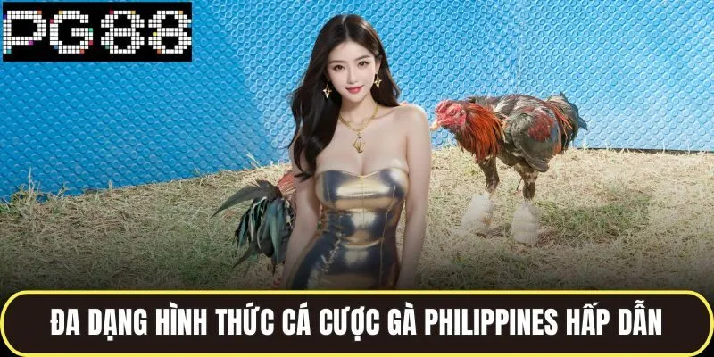 Đá Gà Philippines Kịch Tính Cùng Nhiều Hình Thức Cược Hay 3 Đa dạng hình thức cá cược gà Philippines hấp dẫn