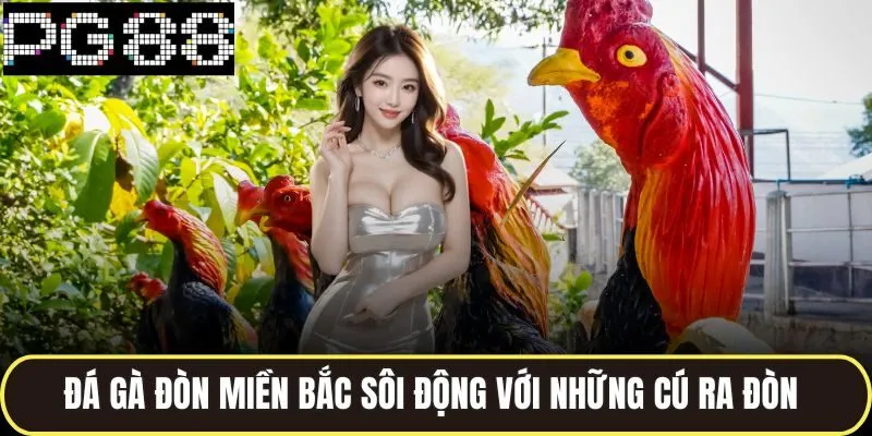 Đá gà đòn miền bắc