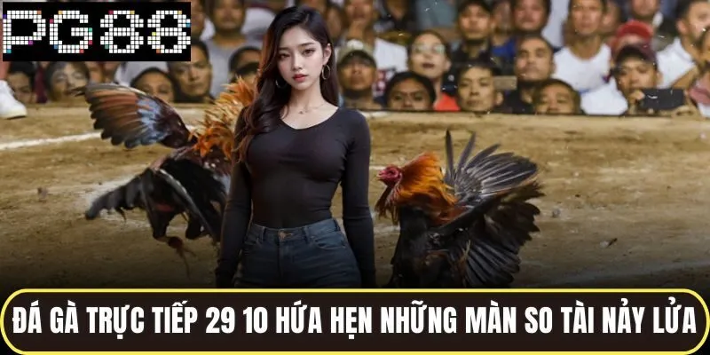 Đá gà trực tiếp 29 10