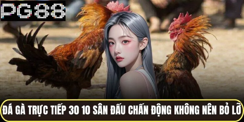 Đá gà trực tiếp 30 10