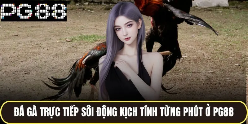 Đá Gà Đòn Trực Tiếp Hấp Dẫn Từng Giây Trên Sới Gà Pg88 2 Đá gà trực tiếp sôi động kịch tính từng phút ở pg88