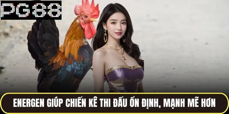 Thuốc Gà Đá Energen Dòng Sản Phẩm Được Các Sư Kê Ưa Chuộng 3 Energen giúp chiến kê thi đấu ổn định, mạnh mẽ hơn