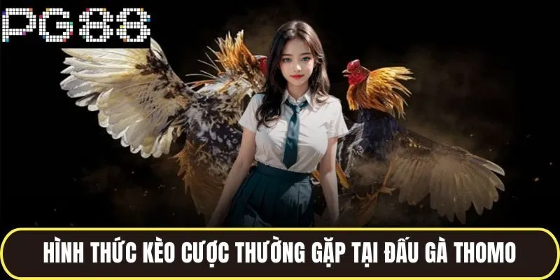 Hình thức kèo cược thường gặp tại đấu gà thomo