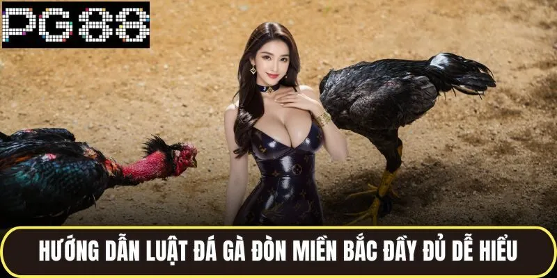 Đá Gà Đòn Miền Bắc Sôi Động Với Những Cú Ra Đòn Kịch Tính 3 Hướng dẫn luật đá gà đòn miền bắc đầy đủ dễ hiểu