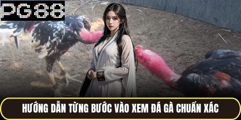 Hướng dẫn từng bước vào xem đá gà chuẩn xác