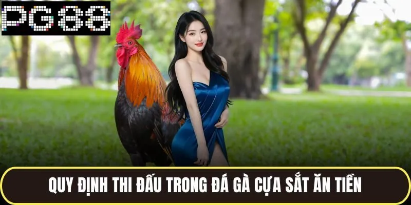 Quy định thi đấu trong đá gà cựa sắt ăn tiền