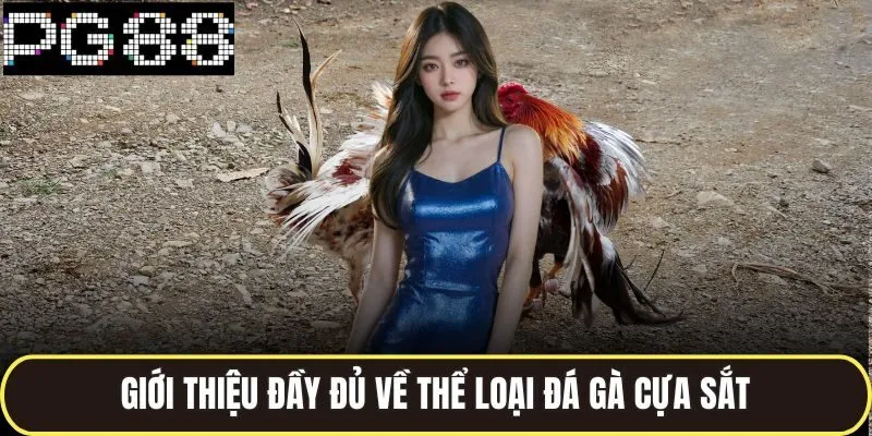 Giới thiệu đầy đủ về thể loại đá gà cựa sắt