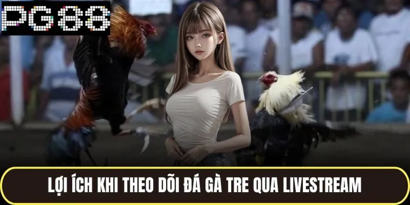 Lợi ích khi theo dõi đá gà tre qua livestream