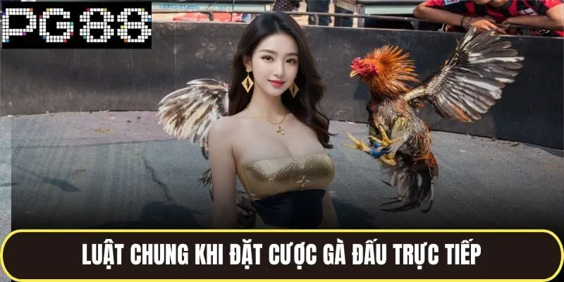 Luật chung khi đặt cược gà đấu trực tiếp