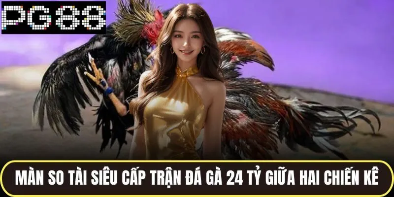 Màn so tài siêu cấp trận đá gà 24 tỷ giữa hai chiến kê