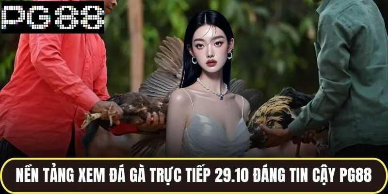 Nền tảng xem đá gà trực tiếp 29.10 đáng tin cậy pg88