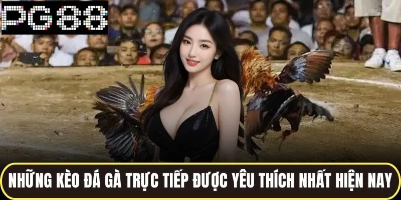Những kèo đá gà trực tiếp được yêu thích nhất hiện nay