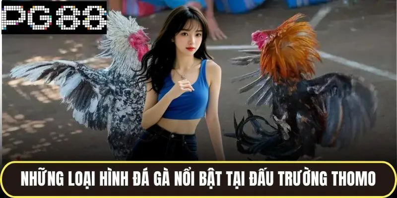 Những loại hình đá gà nổi bật tại đấu trường thomo