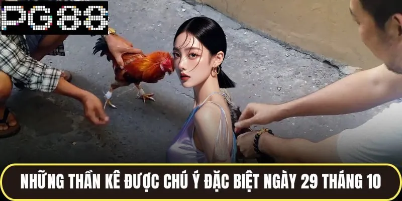 Những thần kê được chú ý đặc biệt ngày 29 tháng 10