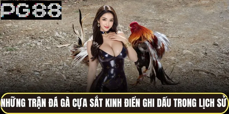 Những trận đá gà cựa sắt kinh điển