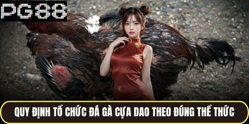 Quy định tổ chức đá gà cựa dao theo đúng thể thức