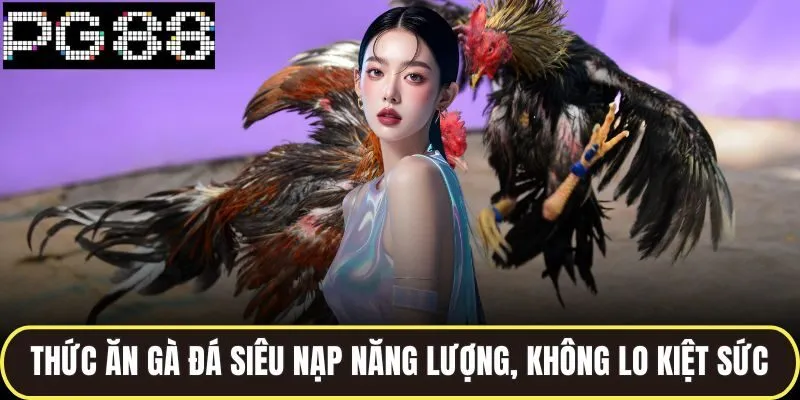Thức ăn gà đá