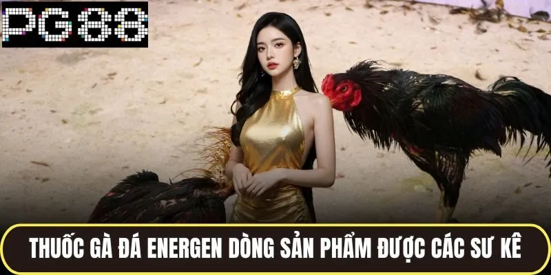 thuốc gà đá energen