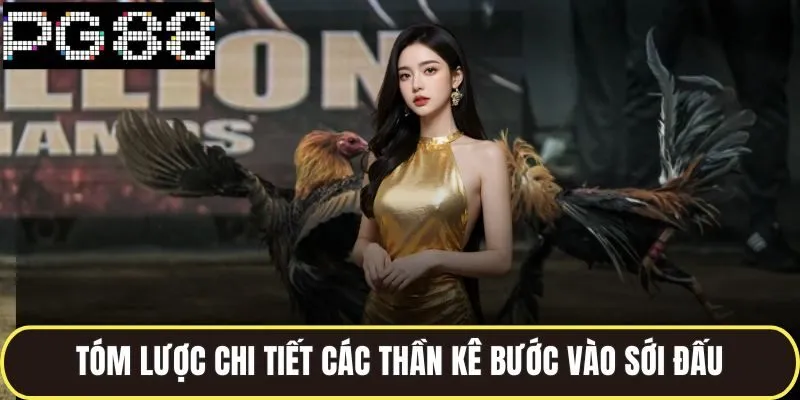 Tóm lược chi tiết các thần kê bước vào sới đấu