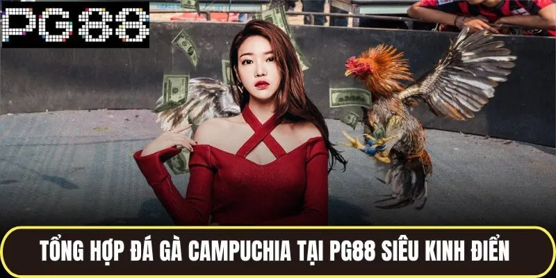 Tổng hợp đá gà campuchia