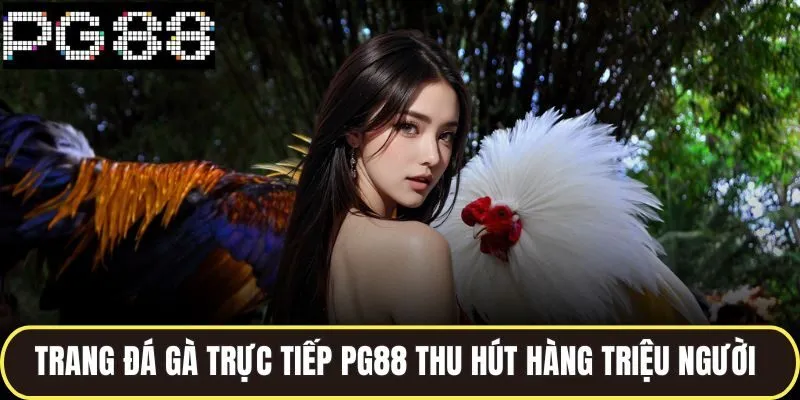 Trang đá gà trực tiếp