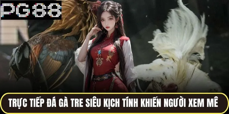 Trực tiếp đá gà tre