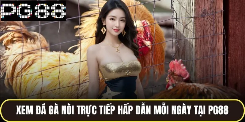 Đá Gà Nòi Trực Tiếp - Cược Thắng Đậm Cùng Cao Thủ 4 Xem đá gà nòi trực tiếp hấp dẫn mỗi ngày tại pg88