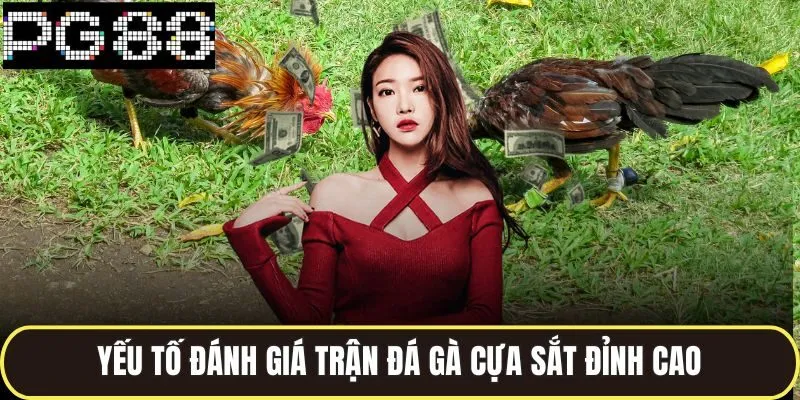 Những Trận Đá Gà Cựa Sắt Kinh Điển Ghi Dấu Trong Lịch Sử 2 Yếu tố đánh giá trận đá gà cựa sắt đỉnh cao
